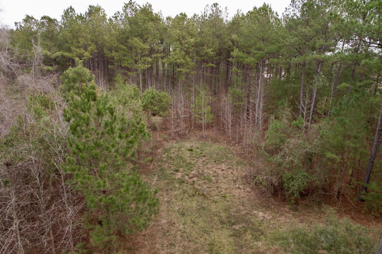 106.6 Acres-tbd Highway 52 Photo 54