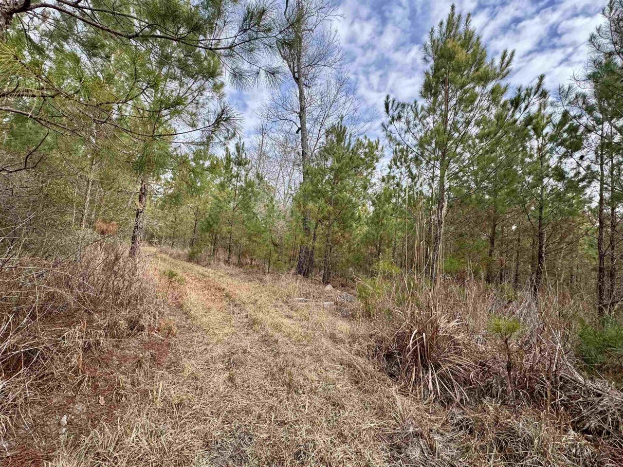 106.6 Acres-tbd Highway 52 Photo 8