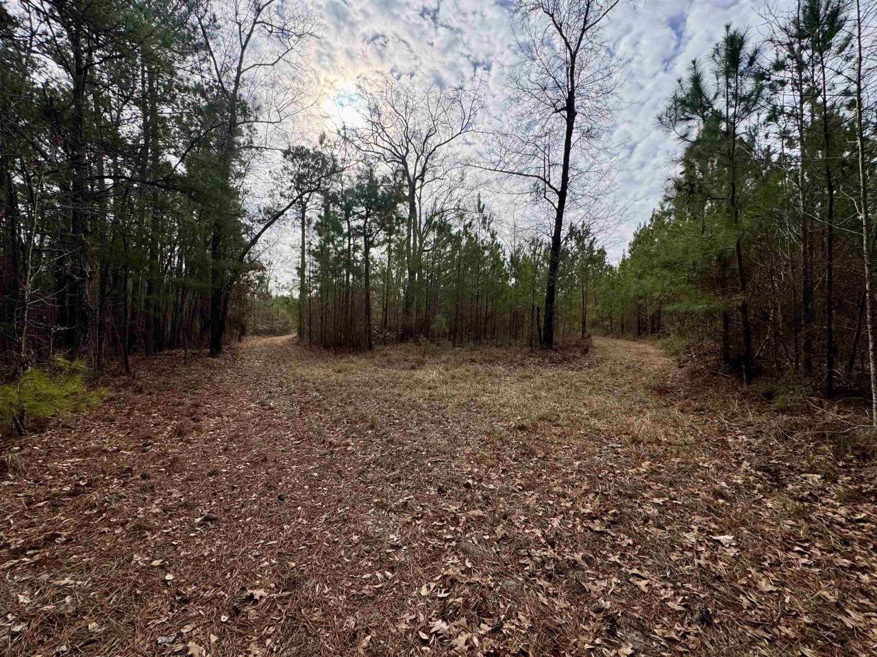 106.6 Acres-tbd Highway 52 Photo 9