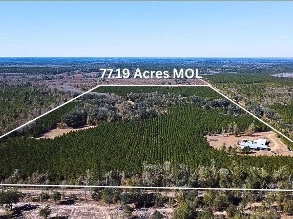 1112 Max Herrin Road, Chattahoochee, FL 32324