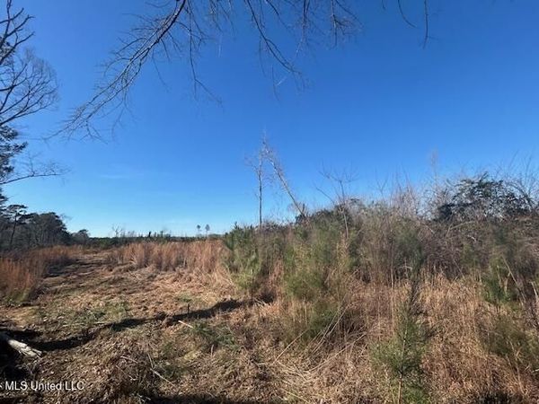 Robert Jones Road, Summit, MS 39666