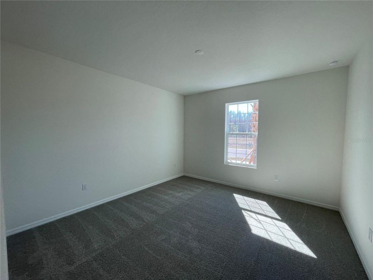 17441 Valleywood Parkway, Land O Lakes, FL 34638 Photo
