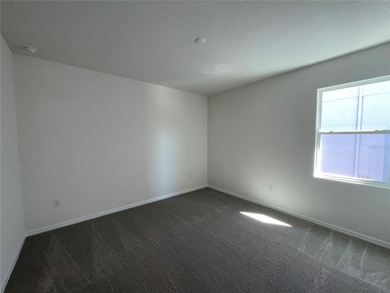 17441 Valleywood Parkway, Land O Lakes, FL 34638 Photo