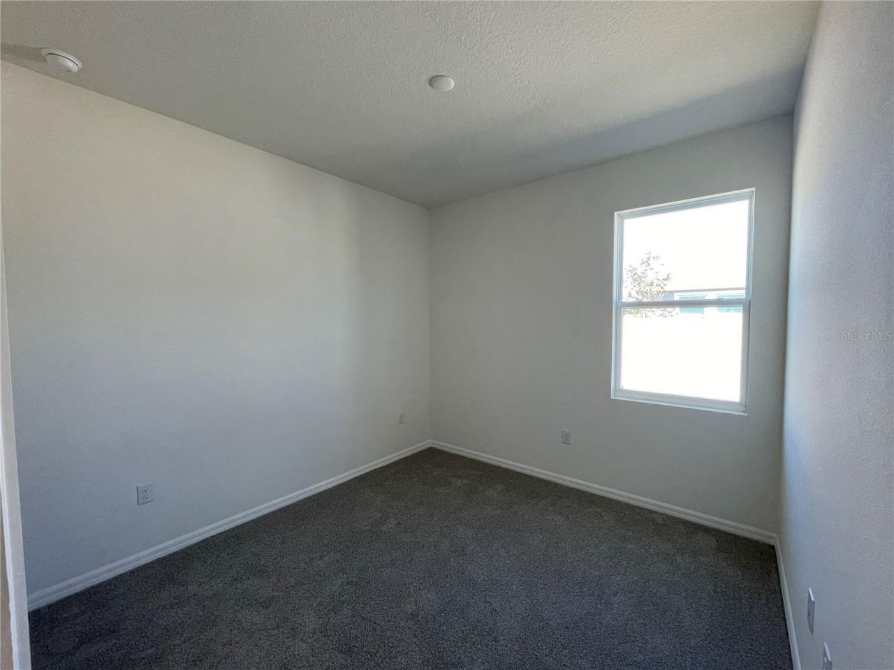17441 Valleywood Parkway, Land O Lakes, FL 34638 Photo