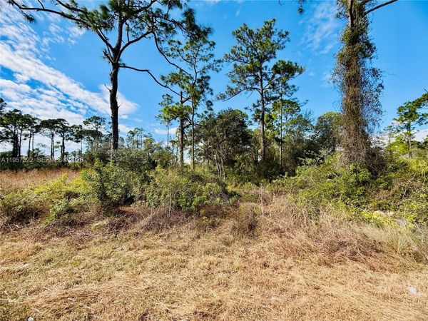 2007 Truman Ave , Alva, FL 33920