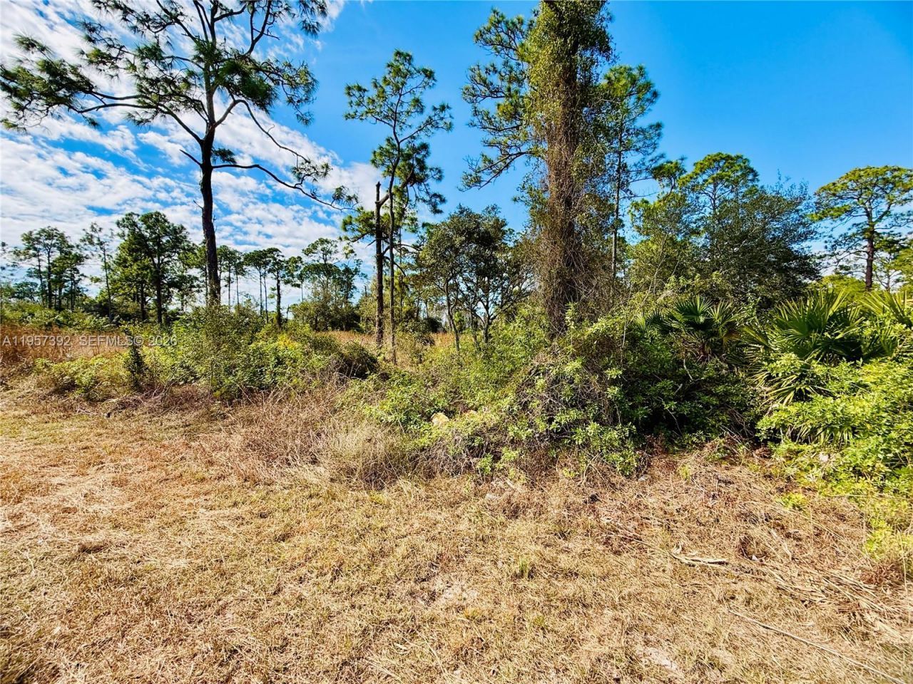 2007 Truman Ave , Alva, FL 33920 Photo