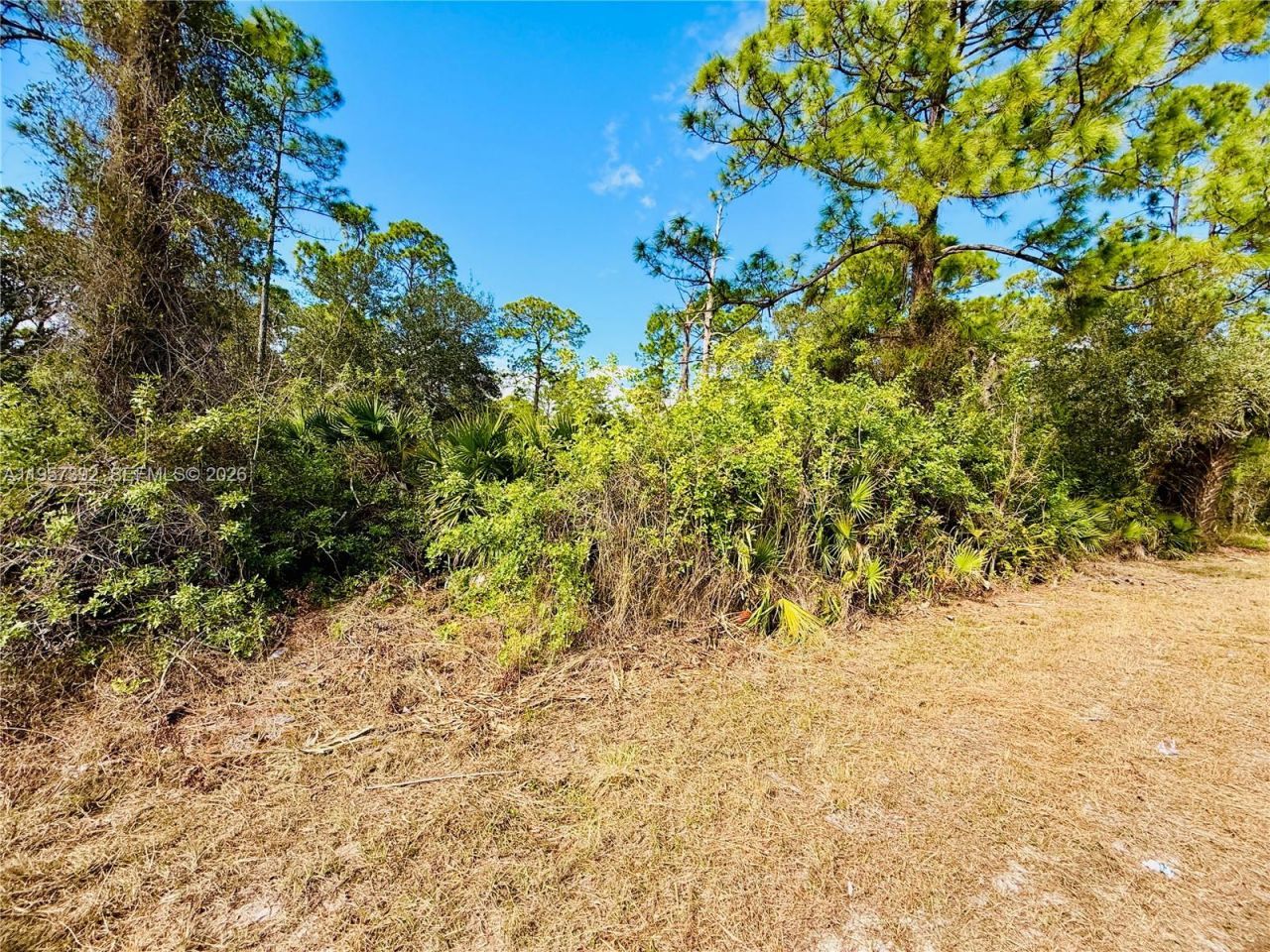 2007 Truman Ave , Alva, FL 33920 Photo