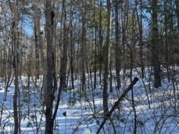 0 Martha St, Sandyston, NJ 07826