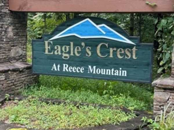LTS 43 & 44 Reece Mountain Road, Ellijay, GA 30536