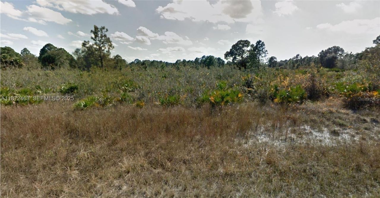 1132 Randan Street E, Lehigh Acres, FL 33974 Photo