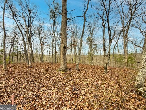 LTS 156 & 157 Harris Creek Drive, Ellijay, GA 30540