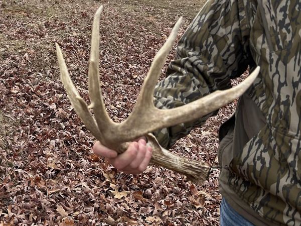 Bagasha Road, Vaiden, MS 39176