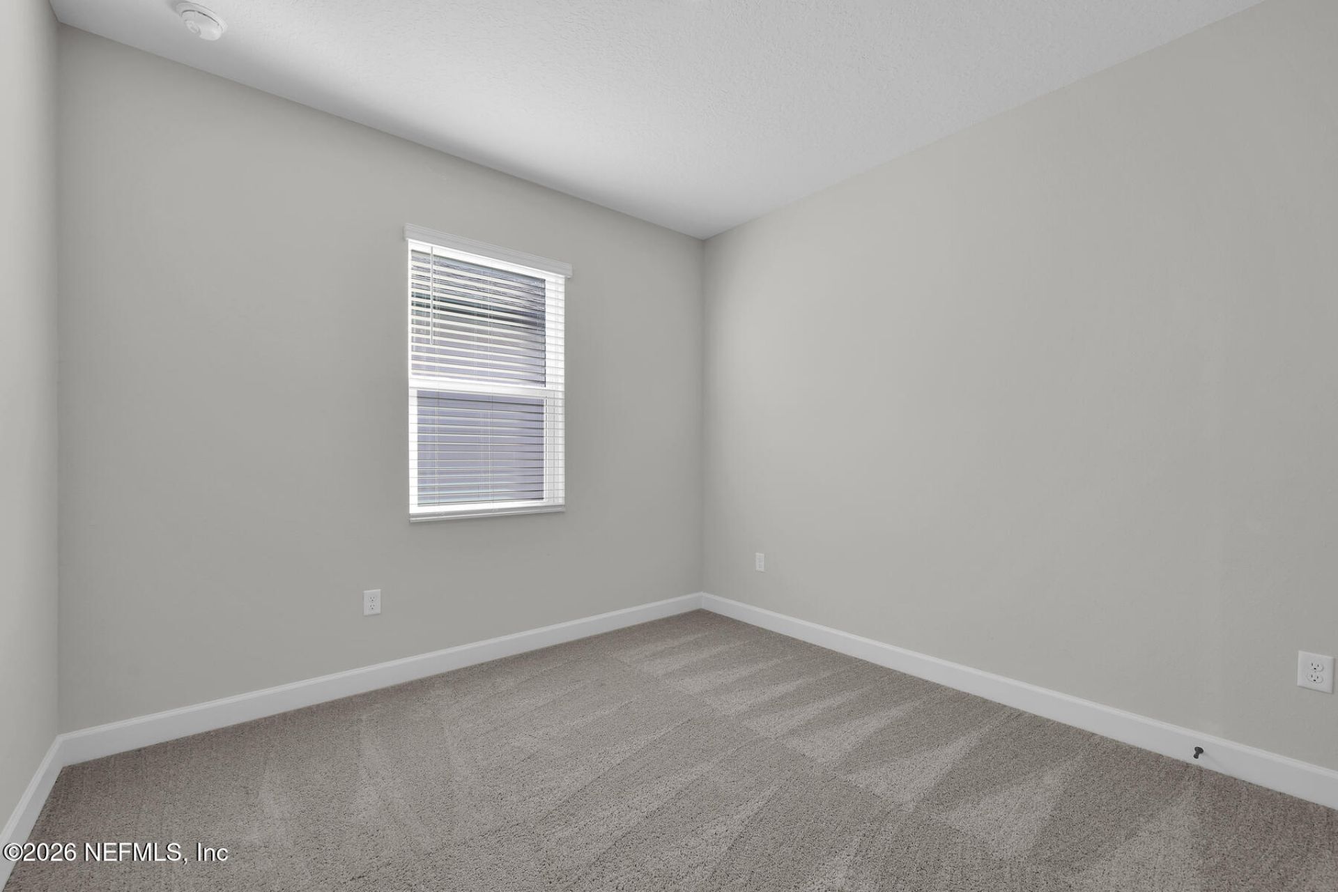 12477 Big Juniper Drive, Jacksonville, FL 32219 Photo