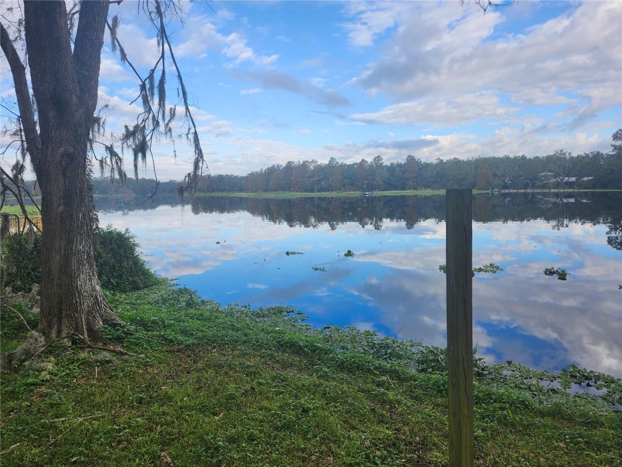 3606 River Grove Drive, Tampa, FL 33610 Photo