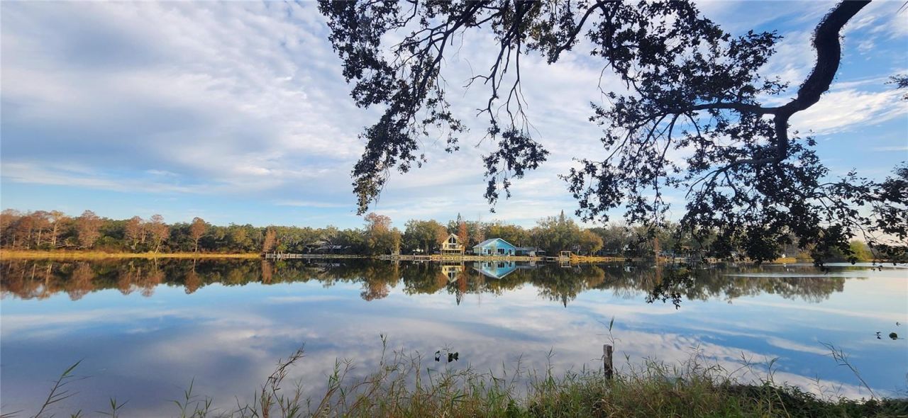 3606 River Grove Drive, Tampa, FL 33610 Photo