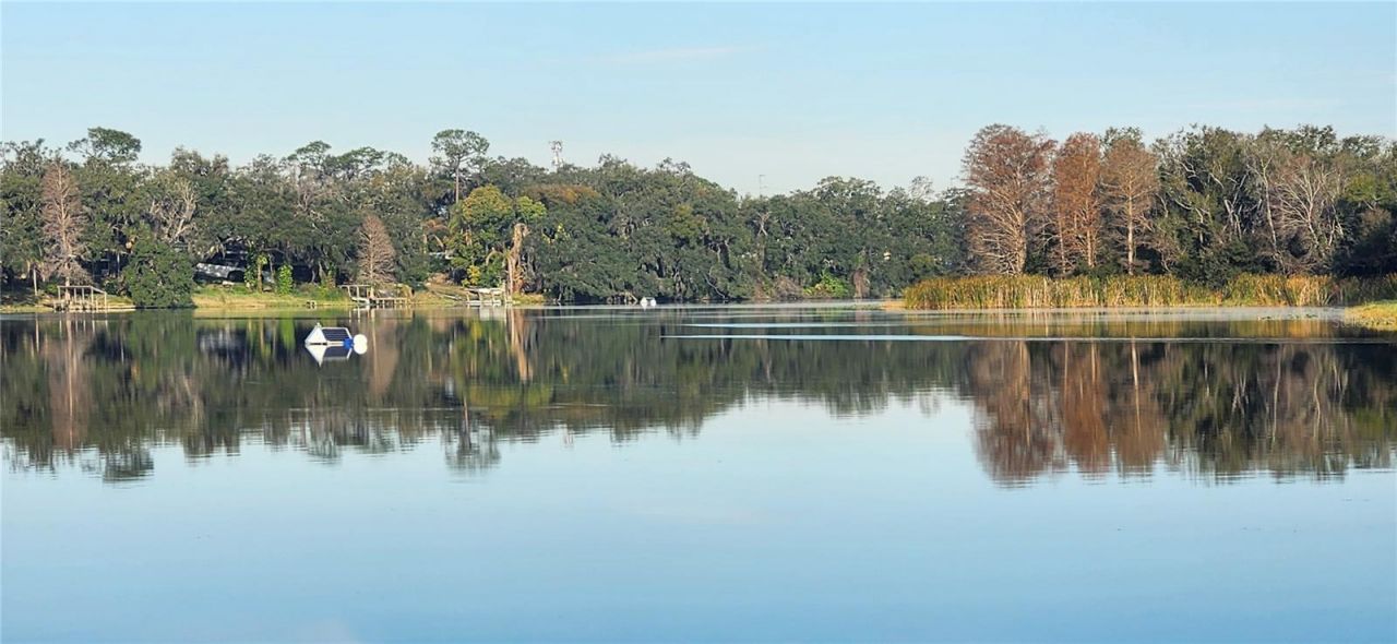 3606 River Grove Drive, Tampa, FL 33610 Photo