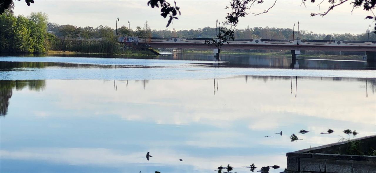 3606 River Grove Drive, Tampa, FL 33610 Photo