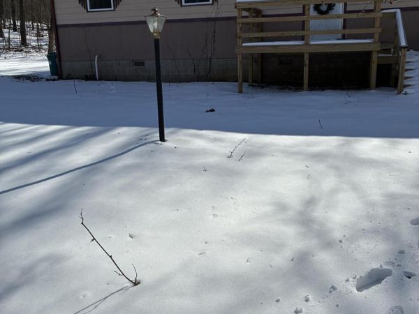 20038 Adams Lane, Diamond, MO 64840