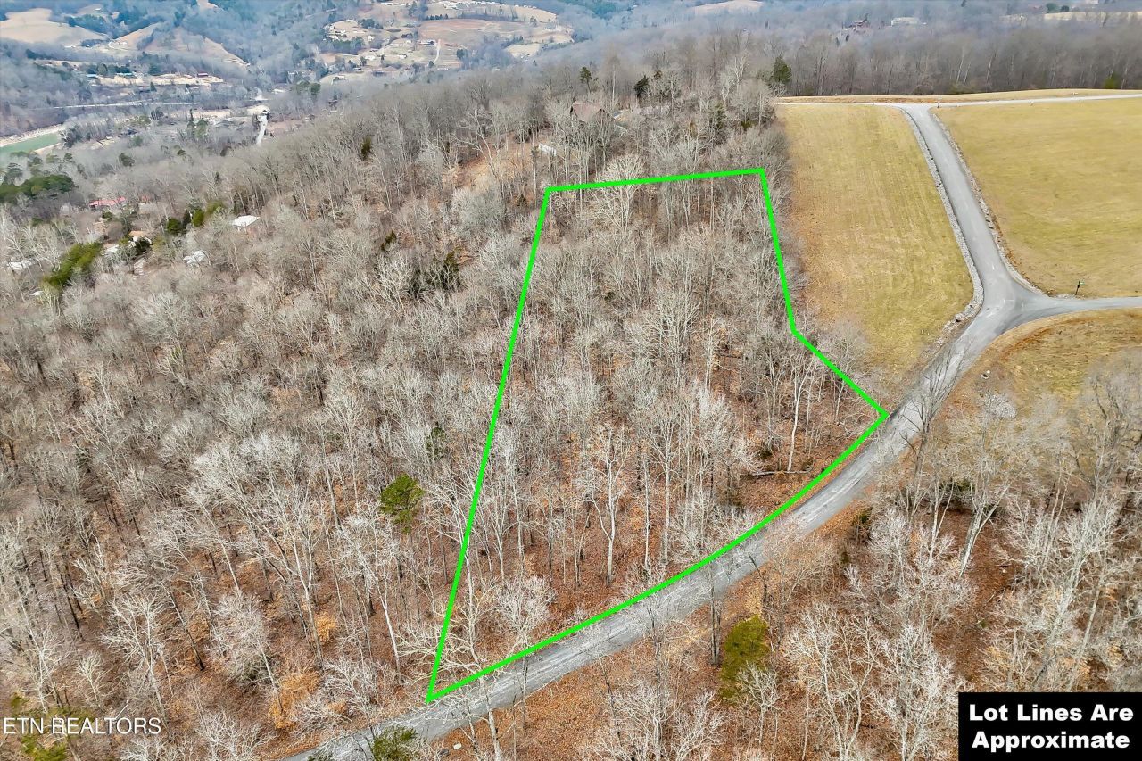 Lot 306 Sapphire Court, New Tazewell, TN 37825 Main Photo