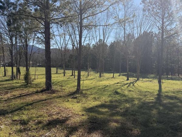 lot 62B County Road 32, Piedmont, AL 36272