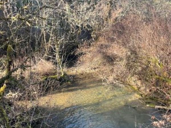 200 Hogue Drive, Selma, OR 97538