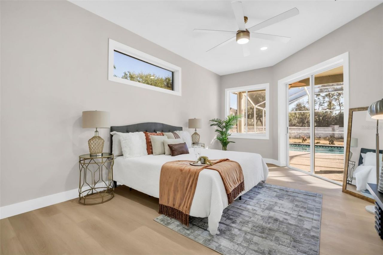 9138 Callaway Drive, Trinity, FL 34655 Photo