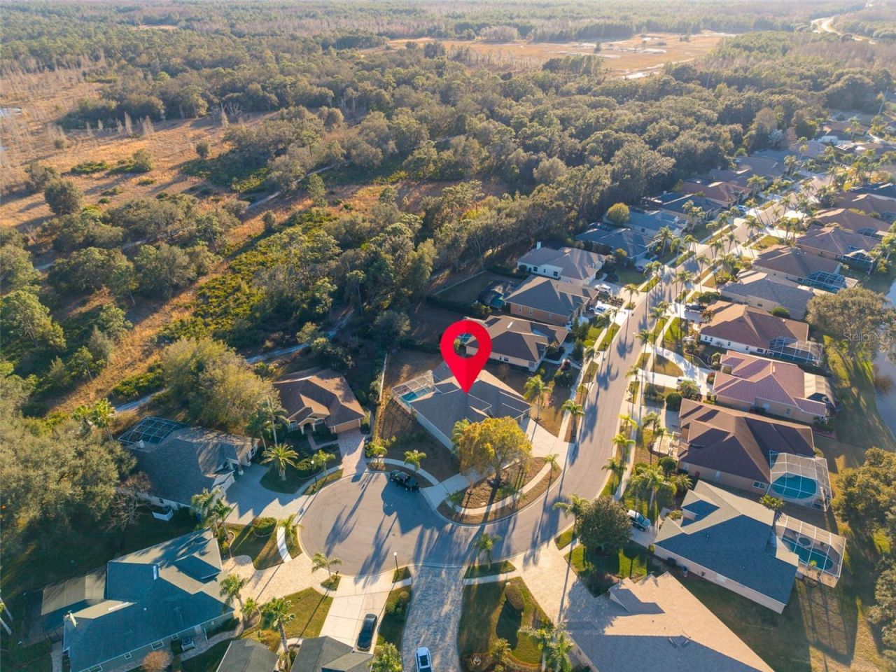 9138 Callaway Drive, Trinity, FL 34655 Photo