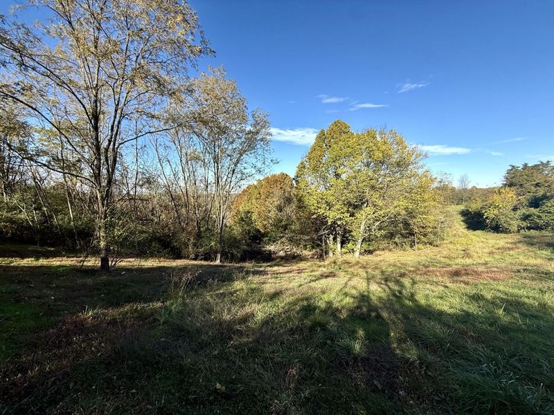 929 Fisher Road, Foster, KY 41043 Photo 33