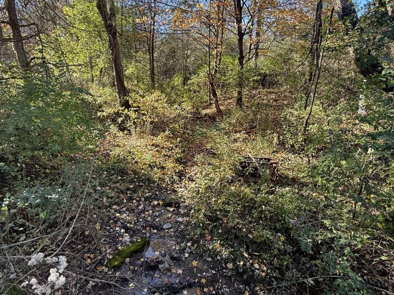 929 Fisher Road, Foster, KY 41043 Photo 35