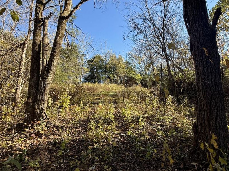 929 Fisher Road, Foster, KY 41043 Photo 40