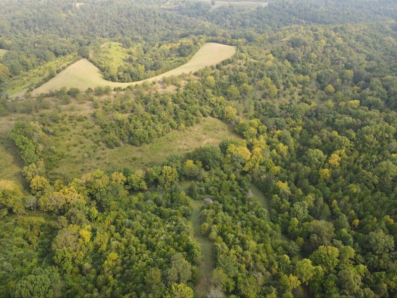 929 Fisher Road, Foster, KY 41043 Photo 42