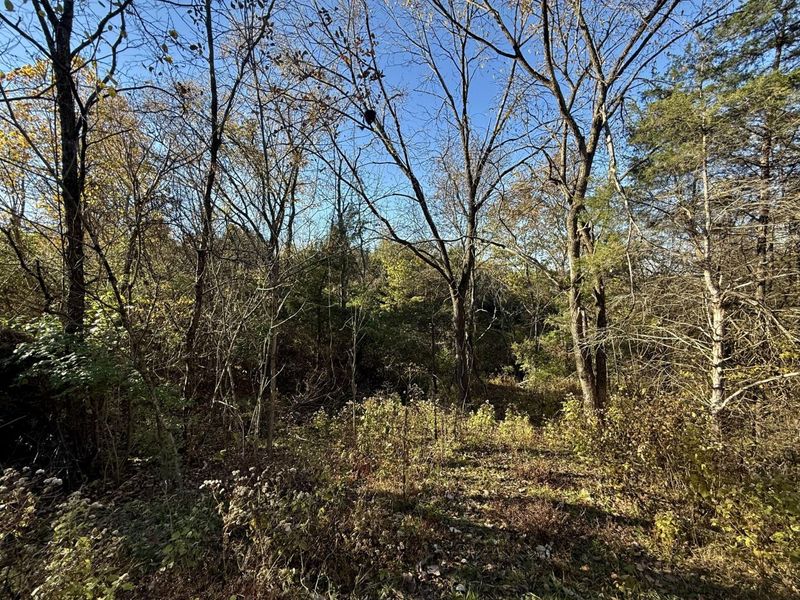 929 Fisher Road, Foster, KY 41043 Photo 45