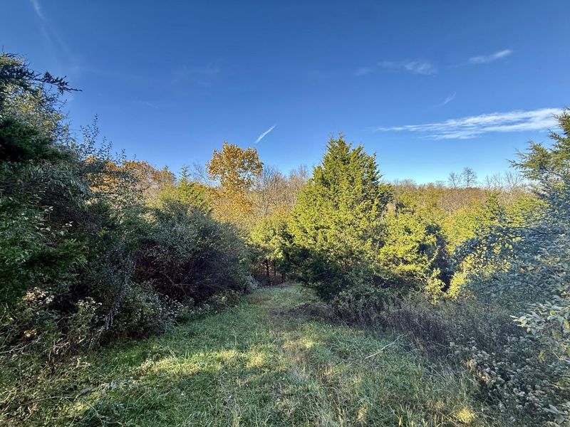 929 Fisher Road, Foster, KY 41043 Photo 47