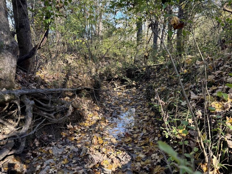 929 Fisher Road, Foster, KY 41043 Photo 48