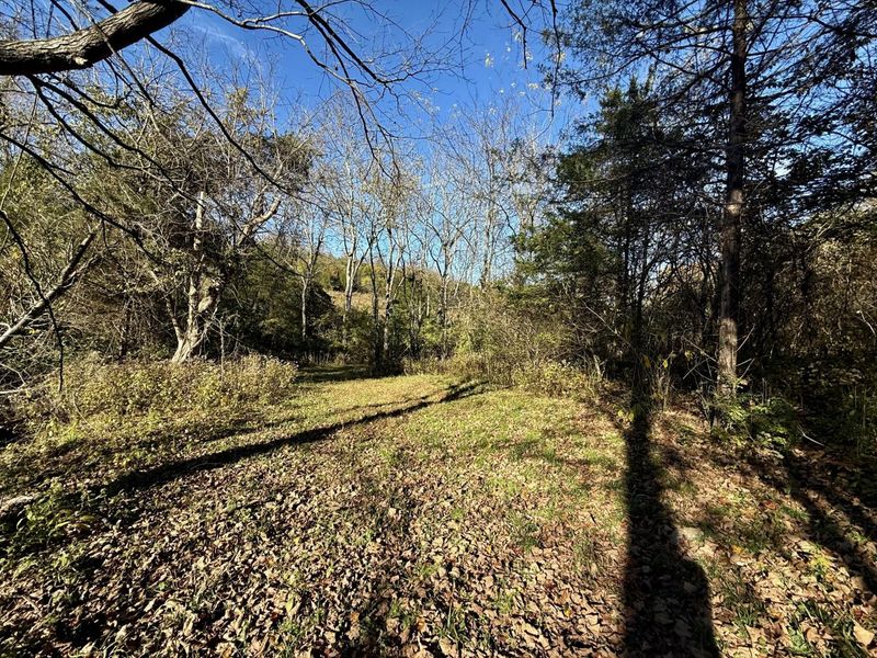 929 Fisher Road, Foster, KY 41043 Photo 49