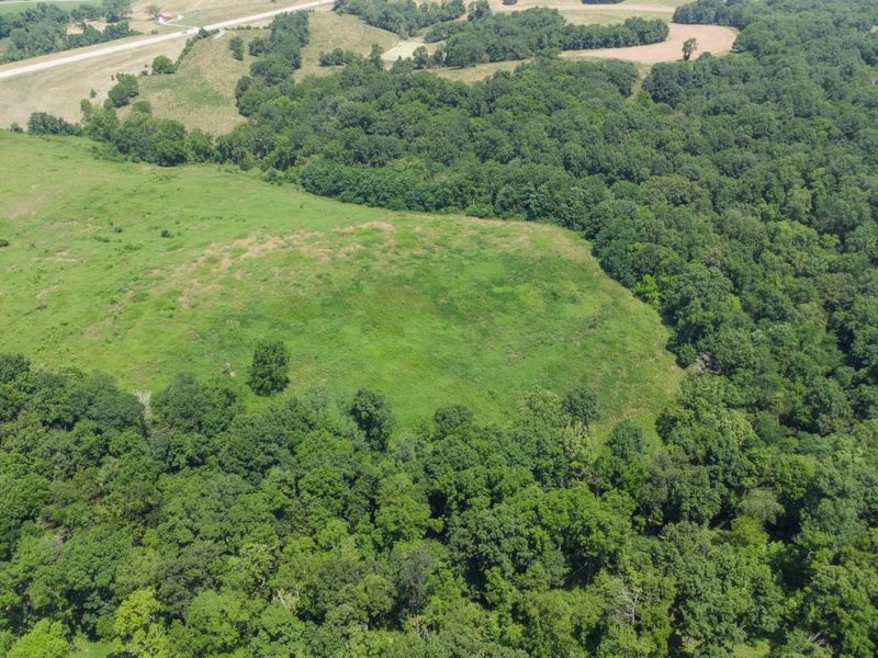 0 HWY 1039, Sparta, KY 41083 Photo 16