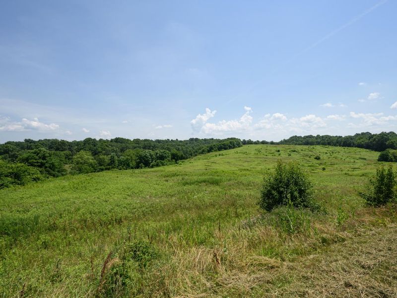 0 HWY 1039, Sparta, KY 41083 Photo 25