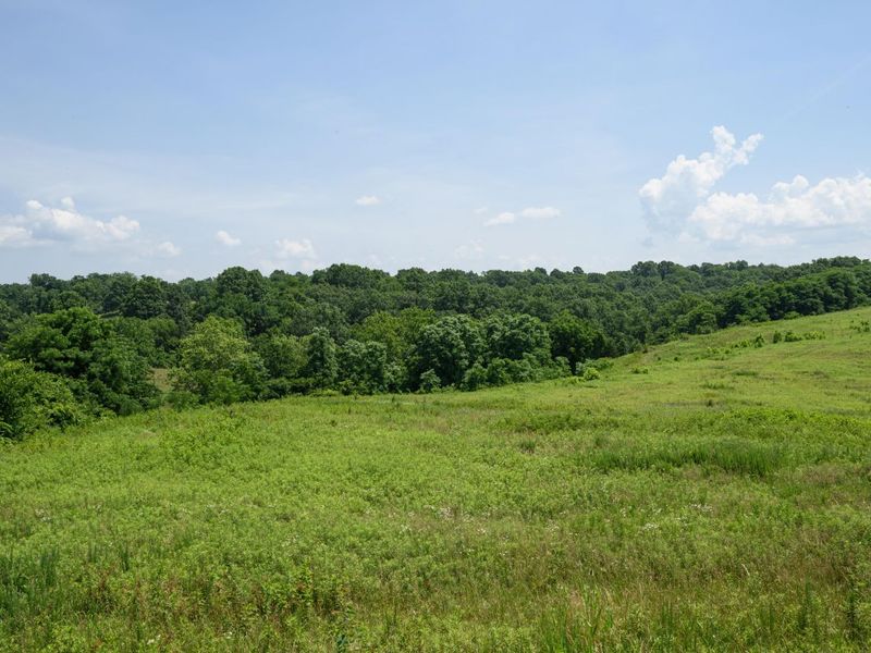 0 Ky 1039, Sparta, KY 41083 Photo 26