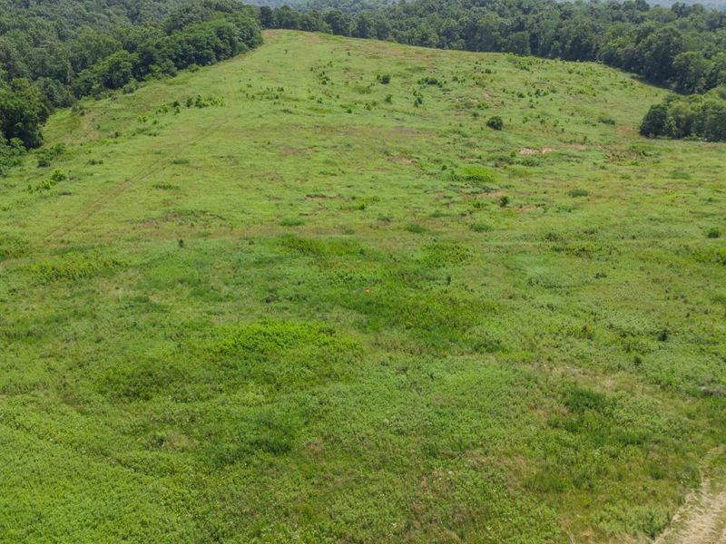 0 Ky 1039, Sparta, KY 41083 Photo 4