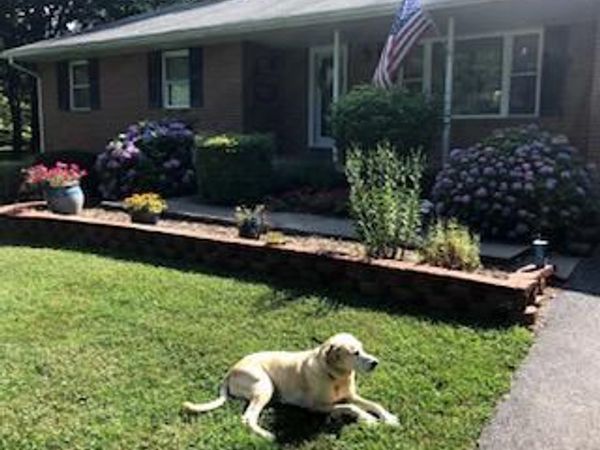 4205 ROLLING ACRES DRIVE, MOUNT AIRY, MD 21771