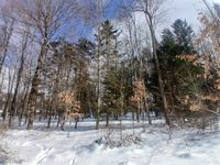 home photo