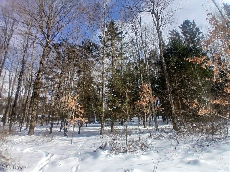 35224 Hull Road, Salineville, OH 43945 Photo 1