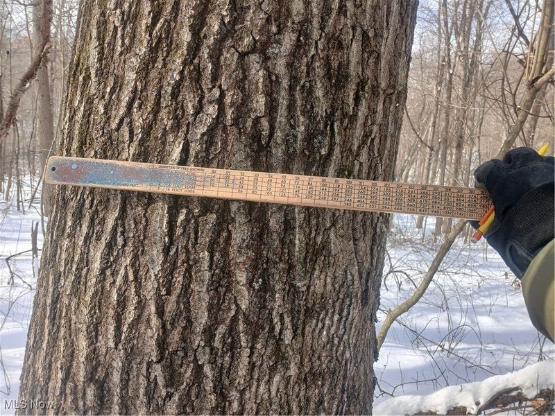 35224 Hull Road, Salineville, OH 43945 Photo 10