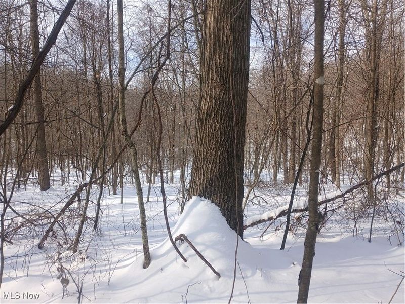 35224 Hull Road, Salineville, OH 43945 Photo 11