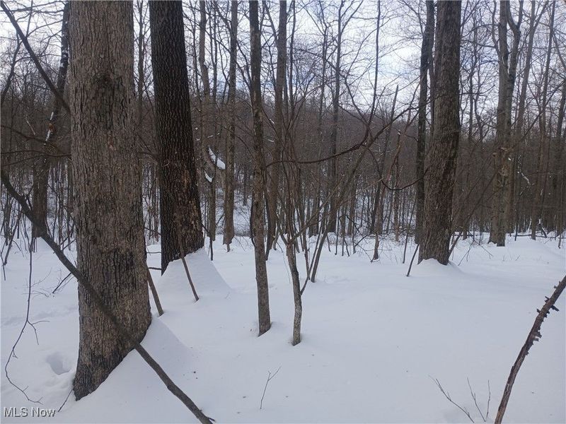 35224 Hull Road, Salineville, OH 43945 Photo 12