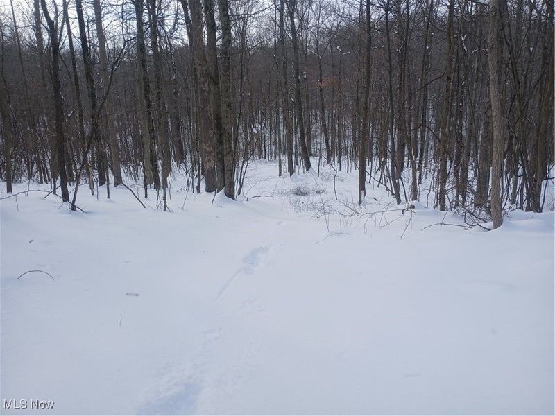 35224 Hull Road, Salineville, OH 43945 Photo 13