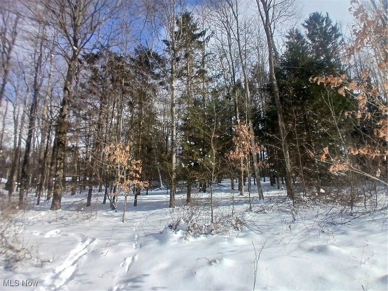 35224 Hull Road, Salineville, OH 43945 Photo 17