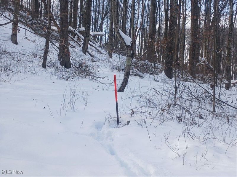 35224 Hull Road, Salineville, OH 43945 Photo 18