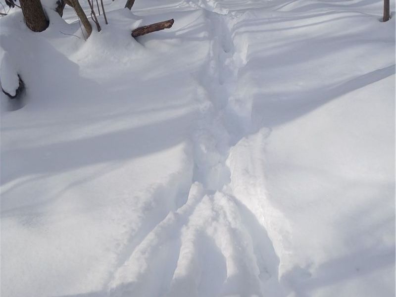 35224 Hull Road, Salineville, OH 43945 Photo 20