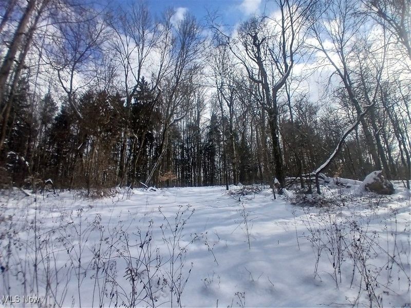 35224 Hull Road, Salineville, OH 43945 Photo 5